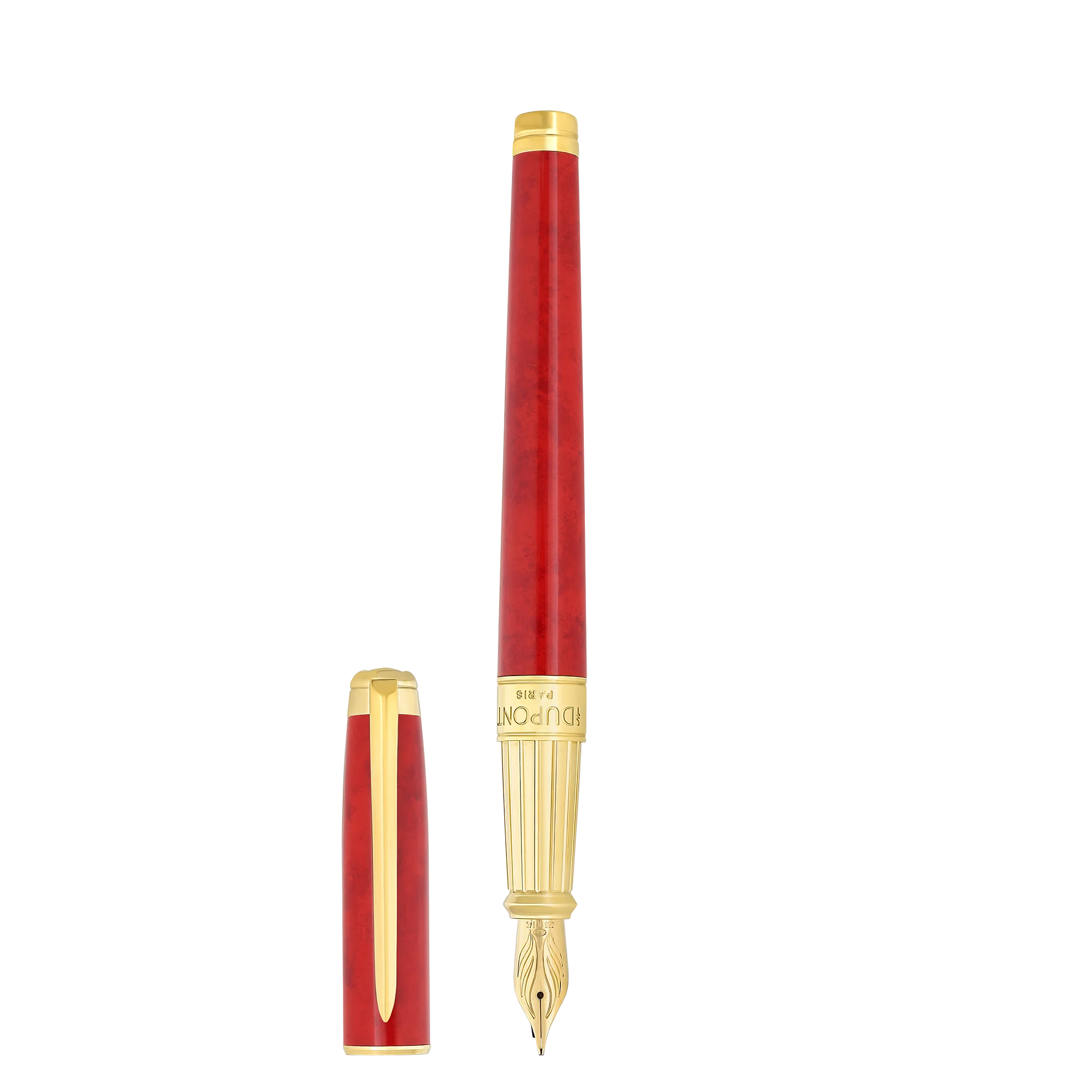 Fountain pen large